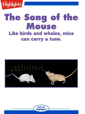 cover image of The Song of the Mouse